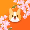 星空无限软件正式版